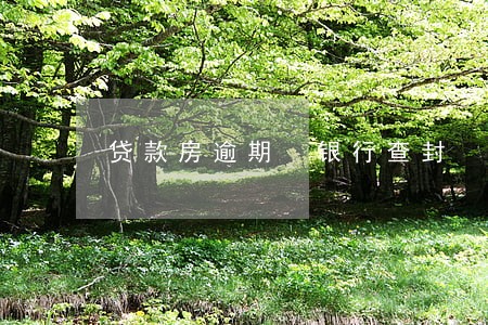 贷款房逾期 银行查封 贷款房逾期 银行查封